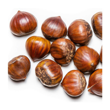 New Crop Chinese Chestnut For Wholesale Top Grade Healthy And Natural Chestnut